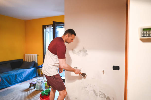 Best Mold Damage Repair  in Dermott, AR