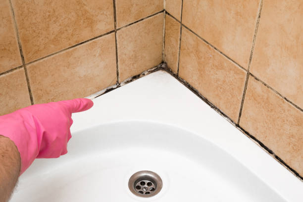 Best Emergency Mold Removal  in Dermott, AR